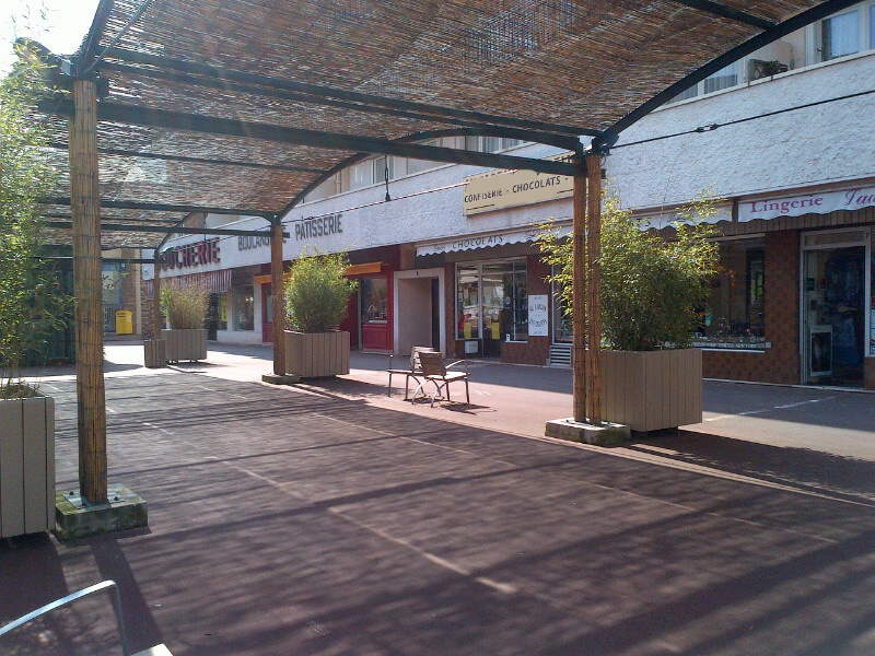 MAUREPAS (78) VENTE EN VIAGER Dame 69 ans Monsieur 77 ans murs de boutique occupés de 46m²